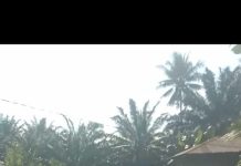 Keberadaan Galian C di Dusun 3 Desa Sumberejo Kecamatan Datuk Lima Puluh Jadi Pertanyaan Warga