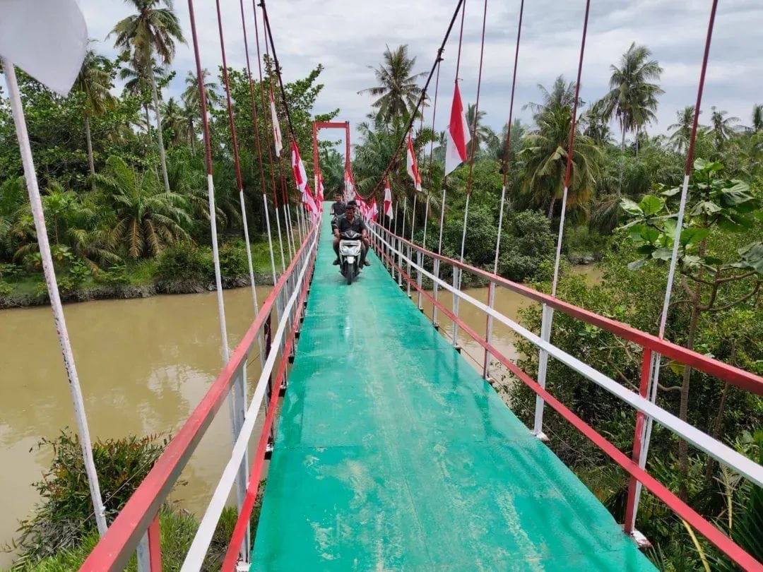 tni