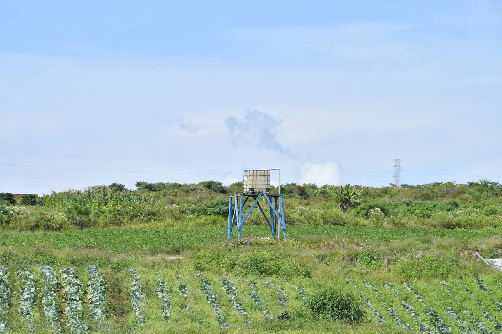 bawa