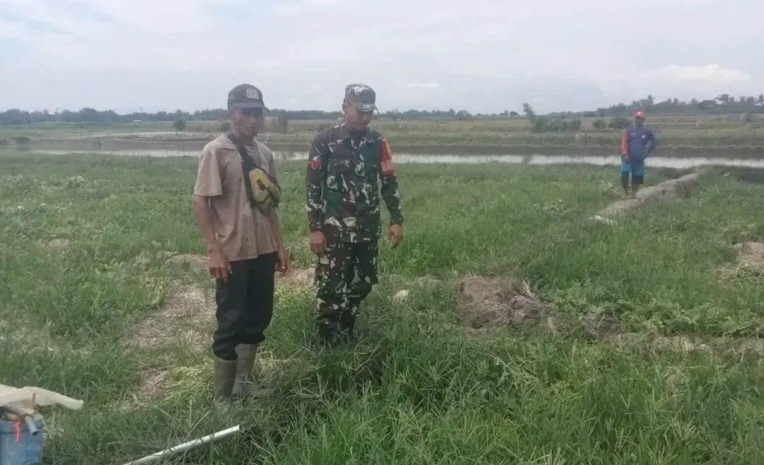 petani