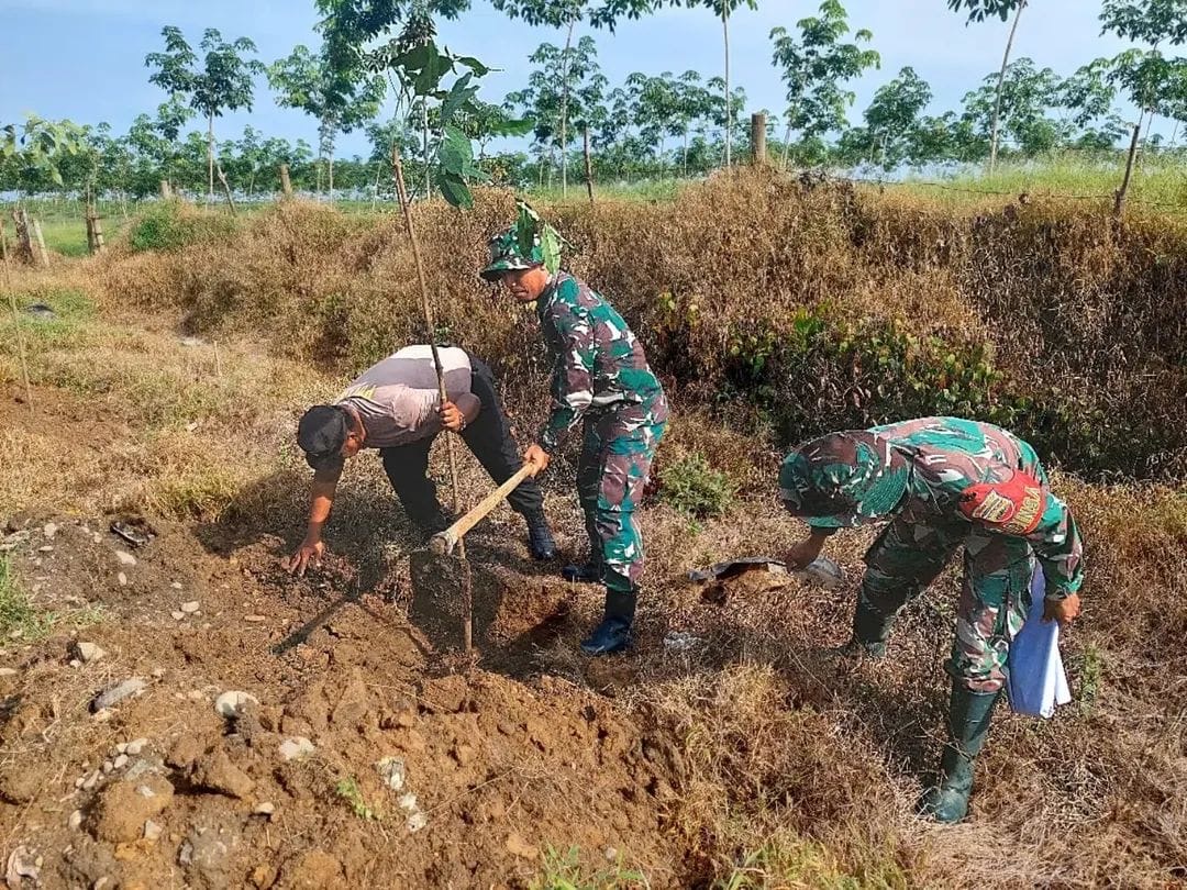 hijau