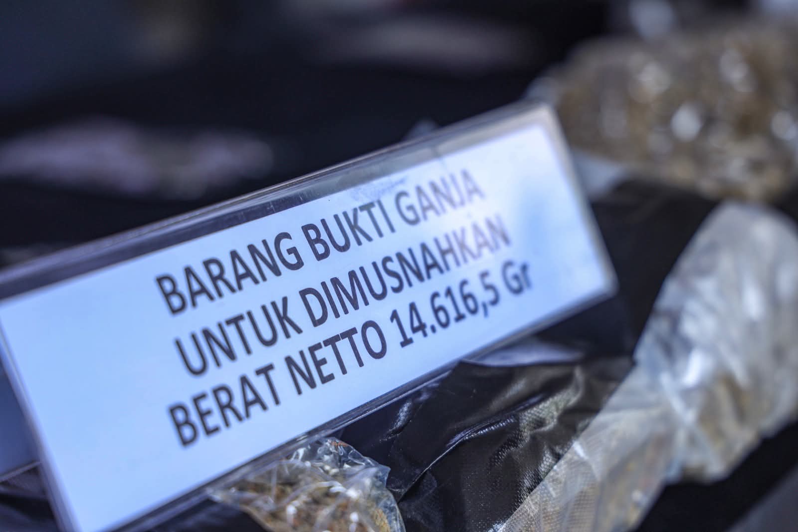 bnn