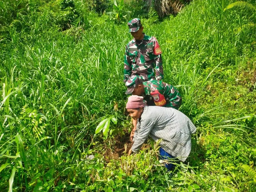 hijau