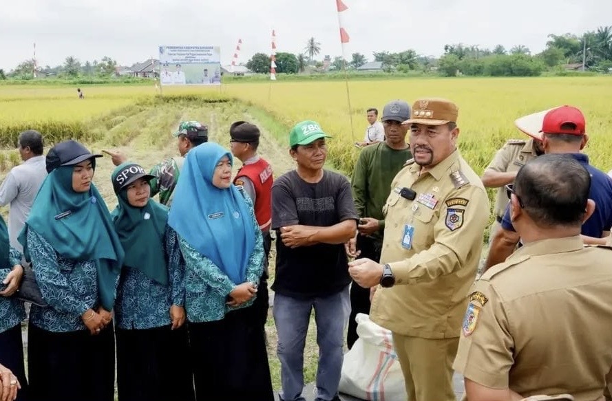 bupati