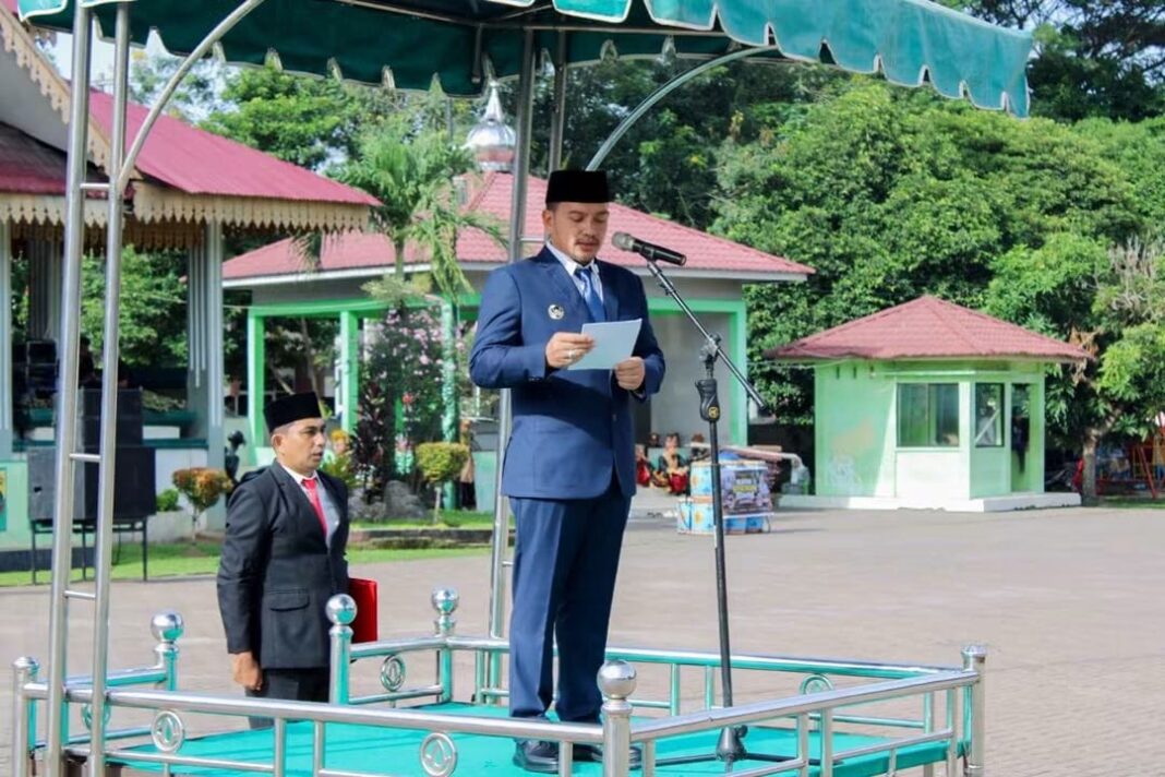 Kot